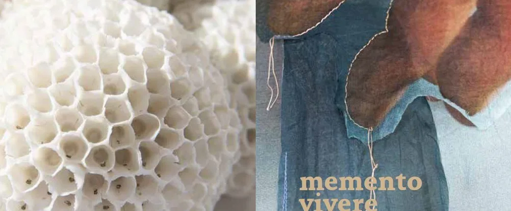 #2 pop-up in nattheim (ostalb): mitwirkung in memento vivere