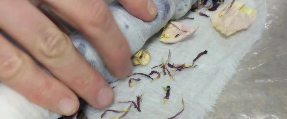 bundle-dye im gartenparadies + STILL garments präsentation